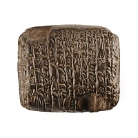 Mesopotamian Cuneiform Tablet Issued by the Temple at Drehem and Sohka