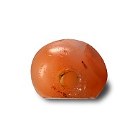 Sassanian Carnelian Stamp Seal with Fish