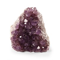 Natural History - Amethyst Crystal Specimen