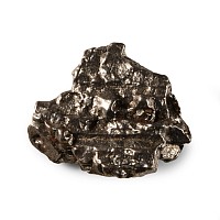 Natural History - Campo Del Cielo Meteorite
