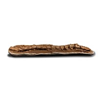 Natural History - Enormous Two Metre Section of Fossil Mosasaur 'Marine Dinosaur' Spine