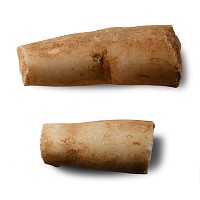 Life-Size Roman Marble Finger Fragments