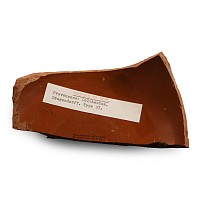 Romano-British 'Colchester' Samian Ware Sherd