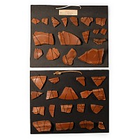 Romano-British 'Hampshire' Samian Ware Sherd Collection on Display Cards