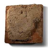 Romano-British 'Waldingham' Floor Tile