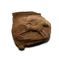 Roman Terracotta Bowl Fragment with Boar
