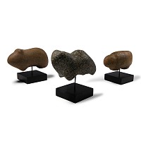 Stone Age Animal Idol Group