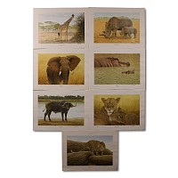 Africa's Magnificent Seven Prints by Chris Chrisoforou