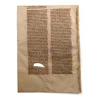 Medieval English Vellum Bible Manuscript Page