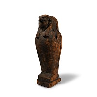 Egyptian Wooden Sarcophagus with Falcon Mummy