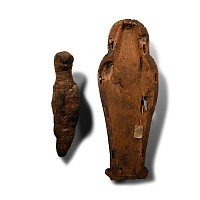 Egyptian Wooden Sarcophagus with Falcon Mummy