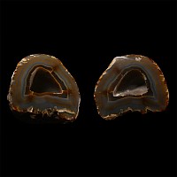 Natural History - Historic Large Cut and Polished Agate Mineral Specimen Pair