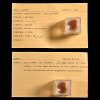 Natural History - Historic Amber Specimen with Fly