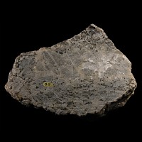 Natural History - Large Historic 'Cornwall, England' Granite Mineral Specimen