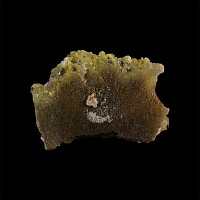 Natural History - Historic 'Zolluerein Mine, Germany' Millerite Mineral Specimen