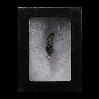 Natural History - Historic 'Batopilas, Mexico' Natural Silver Formation