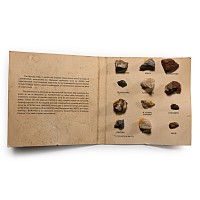 Natural History - 'Specimens Illustrating the Geology Around the Cheddar Caves' Mineral Specimen Collection
