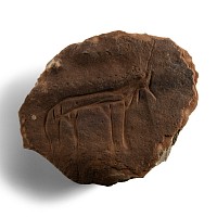 Stone Age Cave Drawing of a Quadruped