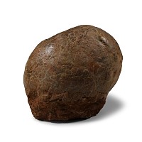 Natural History - Hadrosaur Dinosaur Egg
