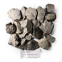 Group of Stone Age Flint Tools, Scrapers, Blades and Cores