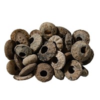 Medieval Lead Spindle Whorl Collection