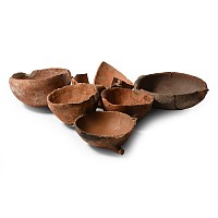 Cypriot Burnished Terracotta Bowl Group