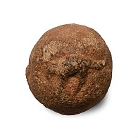 Western Asiatic Stone Ball with High-Relief Animals