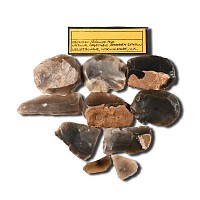 Large Stone Age Tool Group from Wellesbourne