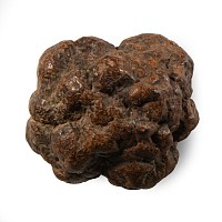Natural History - Chondrite Meteorite