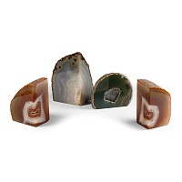 Natural History - Agate Geode Group