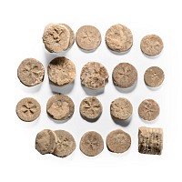 Egyptian Limestone 'Floral' Inlay Group
