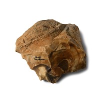 Stone Age Twydall Flint Proto-Handaxe