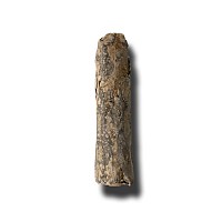 Western Asiatic Aramaic Lead Scroll with Magical Text