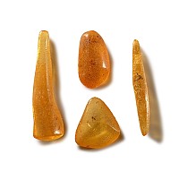 Natural History - Group of Polished Copal with Insects