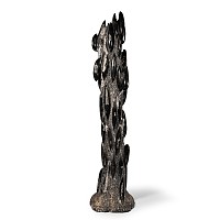 Natural History - Extremely Large Polished Fossil Orthoceras Display
