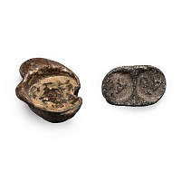 Roman Lead Sealing Group