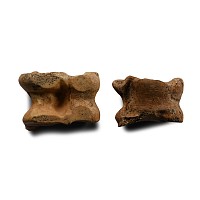 Roman Knuckle Bones Gaming Piece Pair