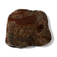 Paleoproterozoic Stromatolite