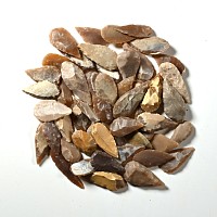 Stone Age Small Leaf-Shaped Arrowhead Collection