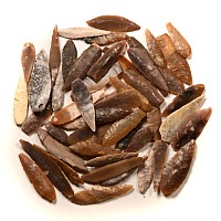 Stone Age Angular and Other Arrowhead Collection