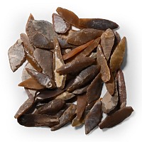Stone Age Angular and Other Arrowhead Collection