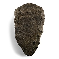 Stone Age Basalt 'Homo Erectus' Handaxe