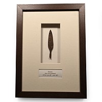 Framed Roman Iron Socketted Arrowhead