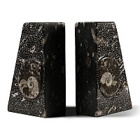 Polished Fossil Goniatite Bookend Pair