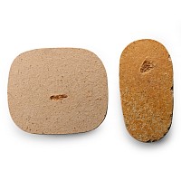 Fossil Grasshopper Pair