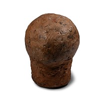 Hadrosaur Dinosaur Egg