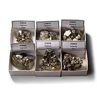 Boxed Pyrite Crystal Display Collection [6]