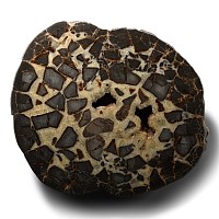 Massive Cut and Polished Septarian 'Egg' Half