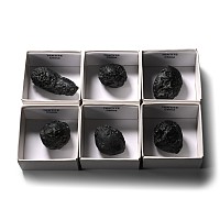 Meteorite Crater Tektite Specimen Collection [6]