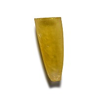 Large Historic Yellow Corundum (179) Crystal Sample